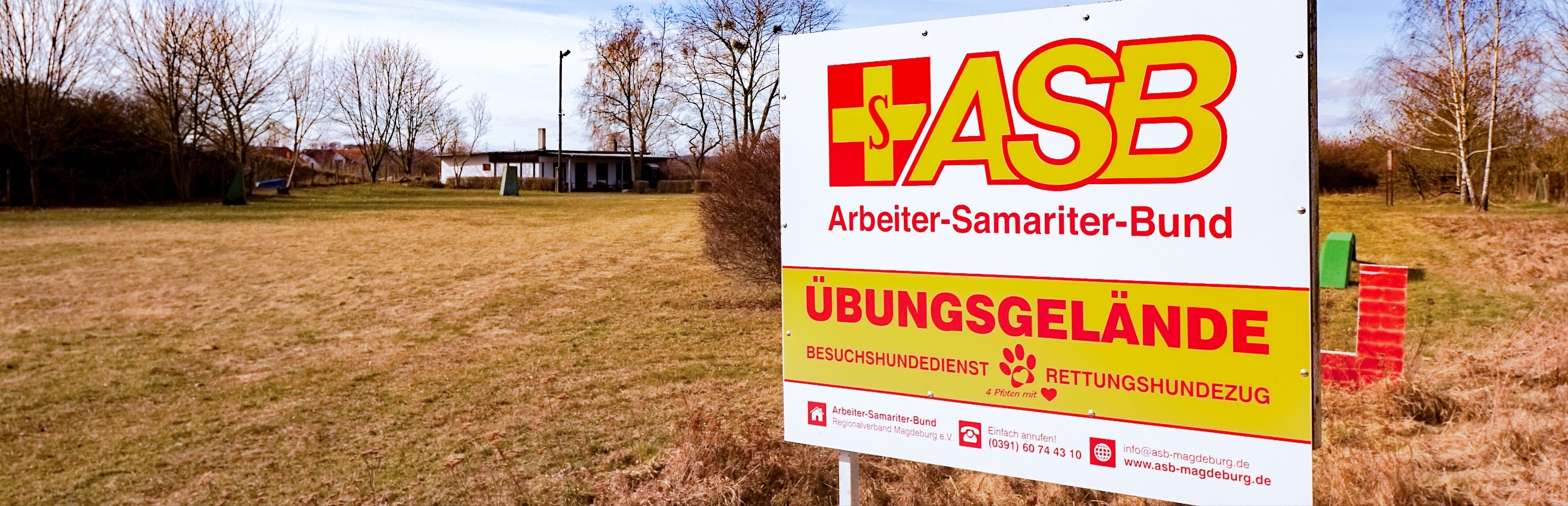 hunde kaufen magdeburg