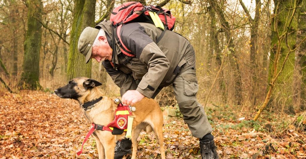 tierheim magdeburg hunde
